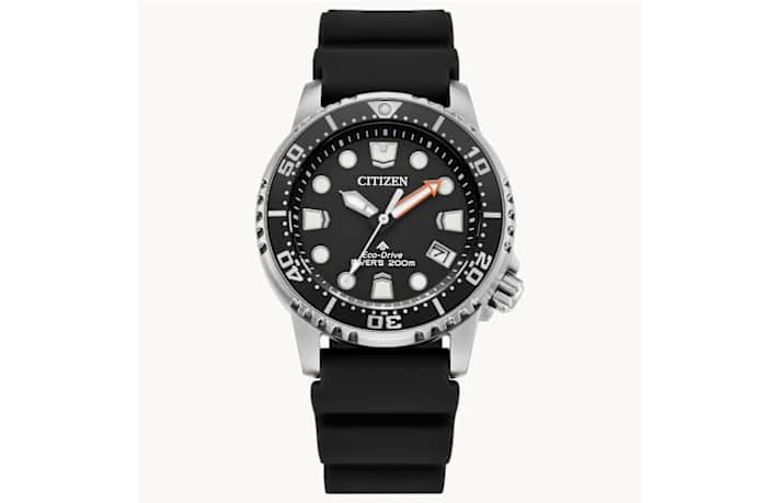 Citizen Watch Promaster Dive Black Dial